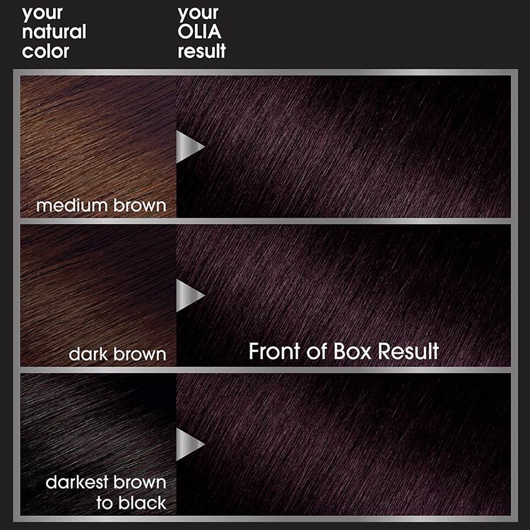 Garnier Haircolor Black Amethyst - Before/After